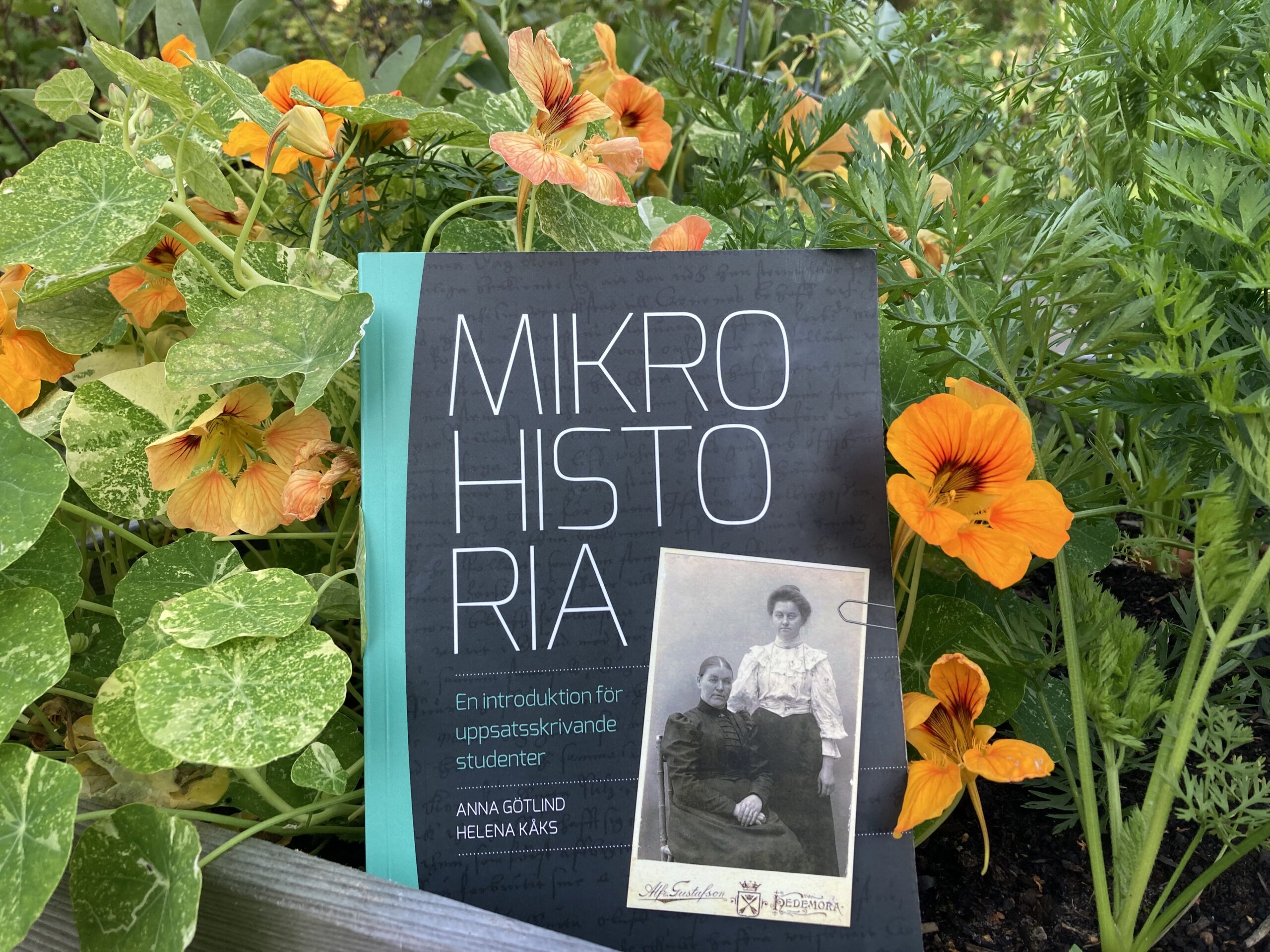 Du visar för närvarande Boktips: Mikrohistoria