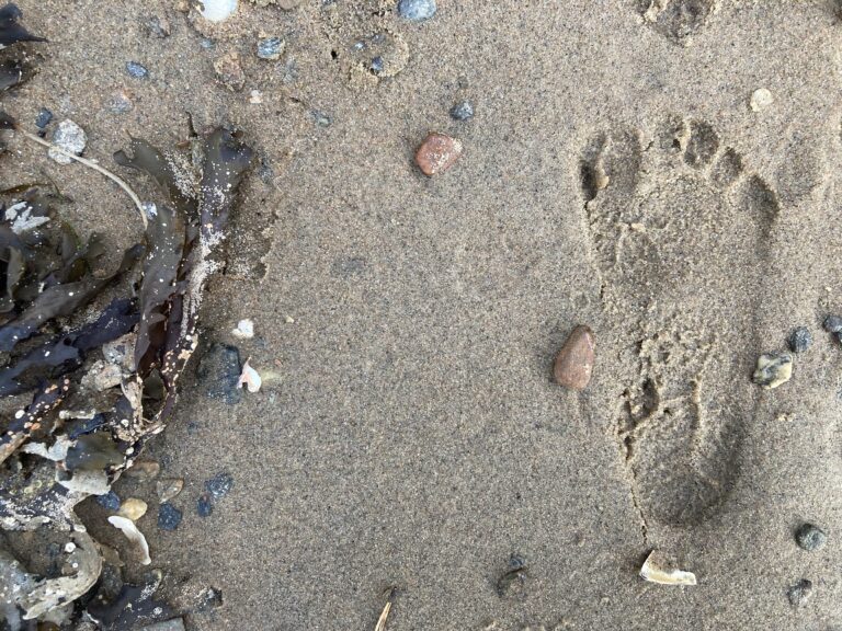 Läs mer om artikeln Utflykt till Stenungsund