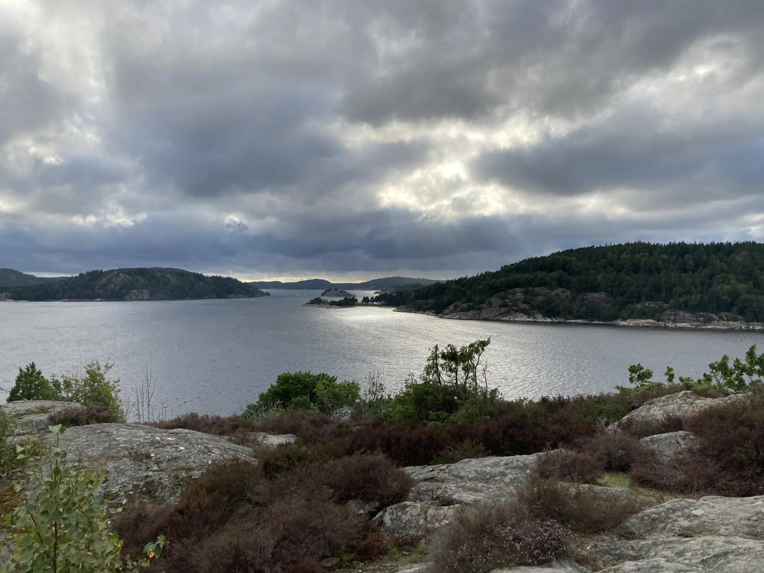 Du visar för närvarande Att leta Orustanor