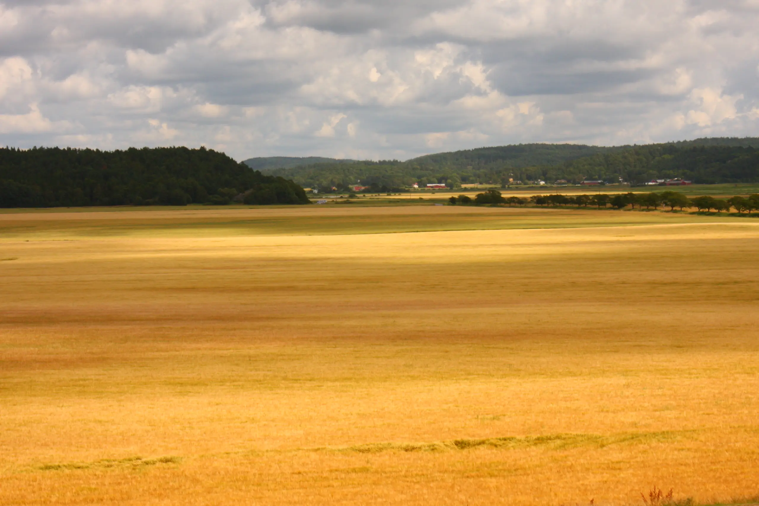 Du visar för närvarande Hundra svenska år med släkthistoria
