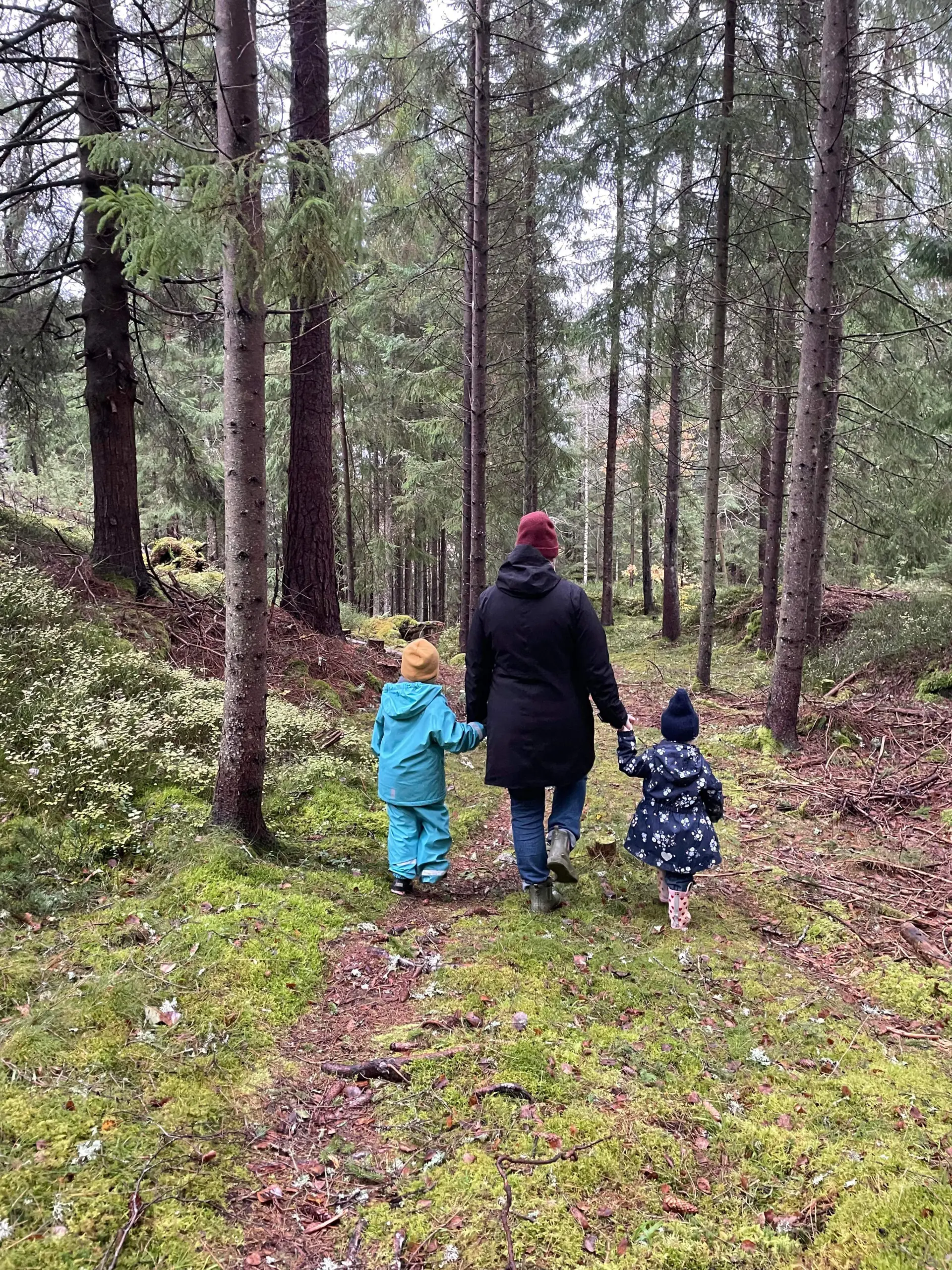 Du visar för närvarande Vikten av att berätta släkthistoria från tidig ålder