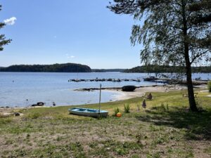 Läs mer om artikeln På jakt efter Y-DNA R-M269