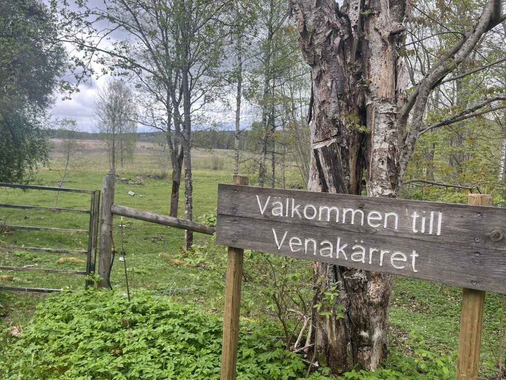 Älvhyttan